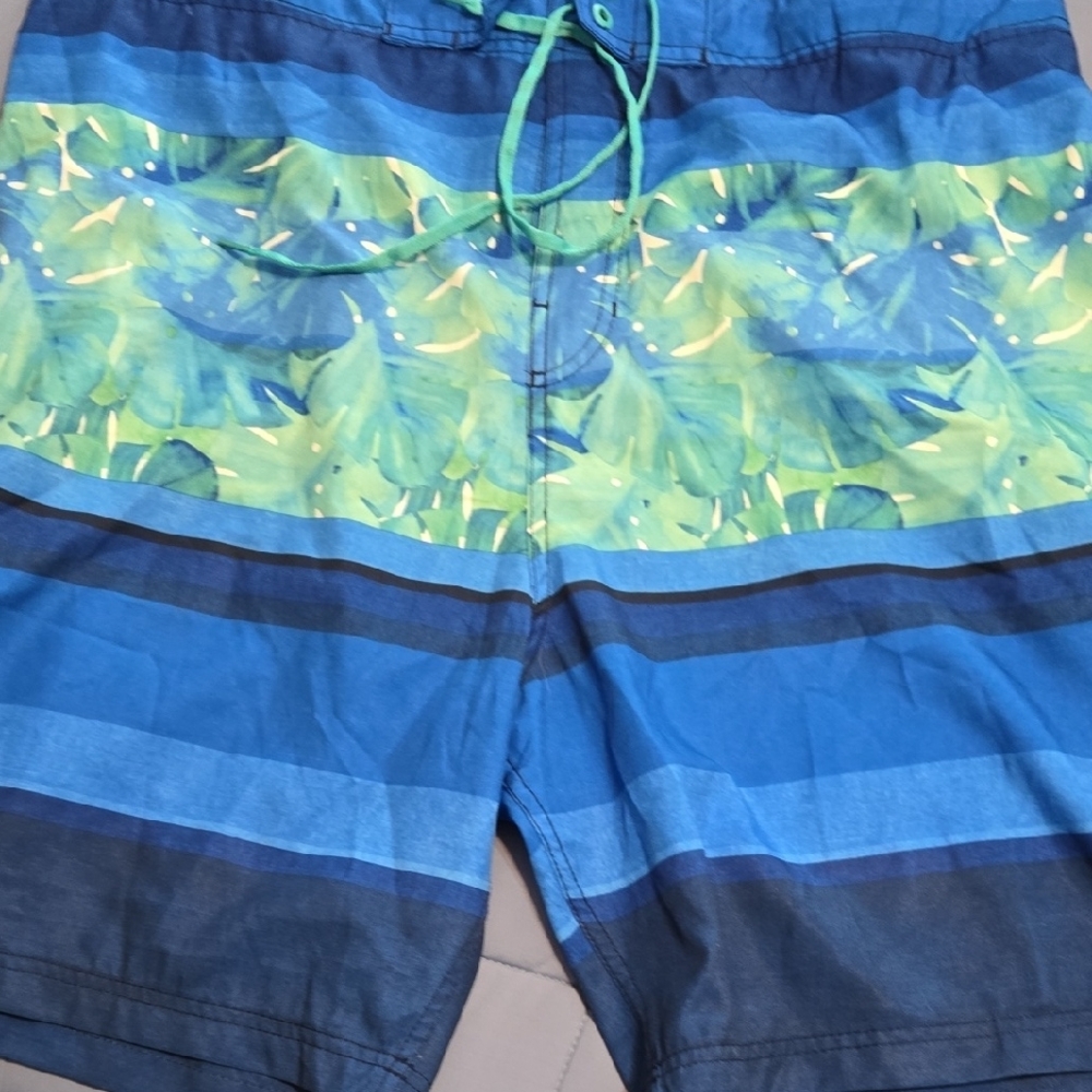 Speedo Blue and Green Hybrid Swim Shorts with Bold Stripes
